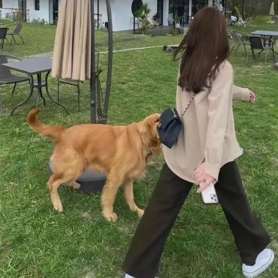 王胜：香甜多汁